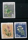 S6959阿尔巴尼亚1962花卉植物3全