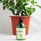 韩伊olive橄榄美白净透滋润乳液270ml 保湿身体乳液 专柜正品