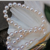 日本Akoya天然海水珍珠项链7.5-8mm正圆极强光阿古屋花珠锁骨链