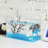 桌面小鱼缸办公室装饰迷你方形生态热带鱼缸创意微景观造景斗鱼缸