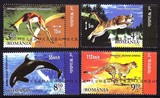 5.3.1罗马尼亚邮票 2015年动物冠军:跳羚.美洲狮.虎鲸.猎豹 4全新