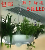 特价 意大利设计铝材艺术灯花盆空中花园盆栽植物餐厅创意吊灯