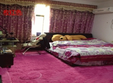 窗地毯可机洗可定制满铺欧式丝毛加厚粉色客厅卧室茶几地毯床边飘