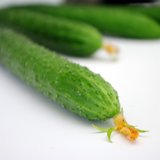 【燎原特惠】新鲜 黄瓜 绿色种植绿色无公害蔬菜新鲜青菜顺丰