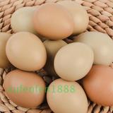 蛋月子营养喜蛋30枚包邮野鸡蛋非种蛋新鲜原生态农家散养野生土鸡