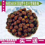 【买一发三】新疆野生顶级昆仑雪菊胎菊王正品特级天山血菊菊花茶