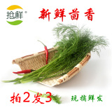 包邮 新鲜茴香蔬菜 农家青菜野菜做饺子包子 拍2发3斤 500g/份