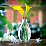 透明玻璃花瓶 欧式餐桌小花瓶 现代简约时尚家居摆件饰品装饰品
