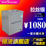 穗凌 BD-100 家用小冰柜 冷冻冷藏 单温商用冷柜 卧式小型冷柜