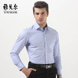 Youngor/雅戈尔商务绅士正品长袖DP免烫衬衫 纯棉男士衬衣修身版