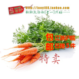 老一特卖 新鲜 蔬菜 带叶 小胡萝卜手指胡萝卜8.9元/500g