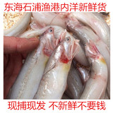 东海野生豆腐鱼龙头鱼 虾孱 宁波特产石浦海鲜新鲜大礼包邮 顺丰
