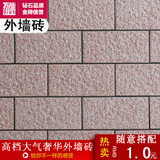 厂价直销 120*240 高档外墙通体瓷砖 外墙砖工程砖 瓷砖多色可选