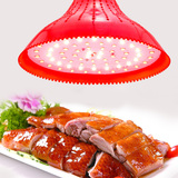 LED猪肉灯牛肉灯熟食生鲜灯 超市照明蔬菜水果灯 商场海鱼水产灯