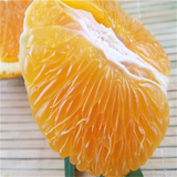 现摘蒲江青见水果丑柑母本柑橘多汁味美顶花大果20斤非丑柑不知火
