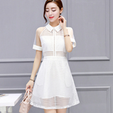 2016夏装新款女装 韩版范修身显瘦短袖网纱蕾丝连衣裙子