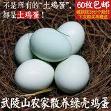 重庆武陵山区农家高山放养生态新鲜绿壳土鸡蛋 60枚包邮 月子孕妇