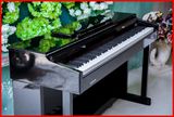 舒曼佳电钢琴数码电子钢琴88键琴键全重锤配重音源高档烤漆专业