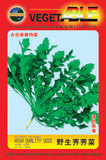 东北产野生荠荠菜种子 野菜贵族 清热解毒 清香鲜嫩 彩包2g