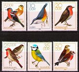 民主德国 东德 1979 鸟类邮票：鸣禽 朱顶雀 苍头燕雀 6全 MNH