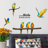 金刚鹦鹉墙贴个性创意小鸟卧室客厅玄关走廊动物贴画贴纸沙发背景