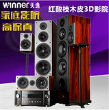 Winner/天逸 TQ-9/高清九号5.1家庭影院音响3D环绕立体声套装音箱