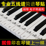 正品包邮透明五线谱简谱钢琴键盘贴纸电子琴键盘贴纸61键学习88
