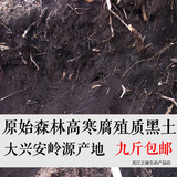 东北大兴安岭腐殖质黑土包邮盆栽营养土多肉兰花土种菜土泥土花肥