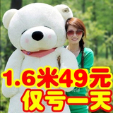 布娃娃可爱大号毛绒玩具泰迪熊1.6米抱抱熊大熊猫 公仔生日礼物女