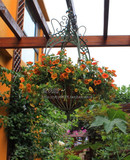 花园家居装饰 欧式宫廷 做旧复古 悬挂花篮吊蓝 气质花器花架