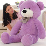 毛绒玩具.公仔熊熊泰迪熊大抱熊1米1.2米1.4米 1.6米1.7米包邮