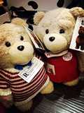 包邮会说话的ted熊可录音的泰迪熊公仔女生生日礼物毛绒玩具娃娃