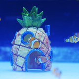 海水鱼海马小丑鱼缸创意水族箱海绵宝宝亚克力超白热带鱼圆形草缸