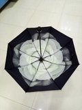 创意清新小雏菊黑胶伞 栀子花遮阳伞 超强防晒女士必备小黑伞