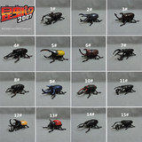 日本正版 仿真动物 昆虫 甲虫 可动 上发条可爬行 玩具模型