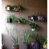 绿都铁艺花架壁挂墙上室内阳台栏杆种菜盆栽多肉植物架多层花架子