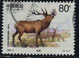 编年1999－5－1       马鹿      信销票  邮票 一枚 上品票