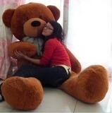 毛绒类玩具熊 可爱有趣抱抱熊女生PP棉布娃娃 泰迪熊公仔生日礼物