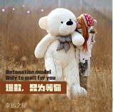 情人节礼物超大号熊毛绒玩具熊1.6米洋娃娃1.8m泰迪熊2米大熊公仔