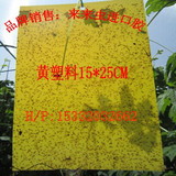 黄塑料15*25CM厂家直销黄蓝板/粘虫板/诱捕蚜虫贴/纸胶板配扎丝