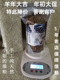段小姐自制猫粮 猫主粮试吃无色素添加剂  三个月幼猫和成猫猫粮