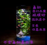 璃瓶创意桌面水族生态斗鱼鱼缸 带灯微景观灯造景植物圆柱形玻