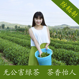绿茶日照茶叶2016年高山有机特级新茶春茶散装炒青特价250g包邮
