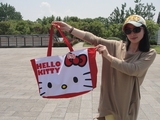 包邮hello kitty包包/新款帆布包包/女包大购物单肩包/kitty包包