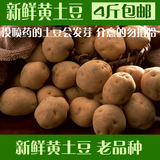 新鲜2015年黄土豆农家自种老品种洋芋马铃薯蔬菜批发4斤包邮