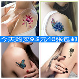 一套40张套装包邮英文字母纹身贴防水男女款蝴蝶3D玫瑰卡通刺青贴