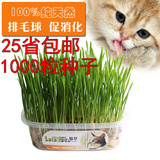 水晶猫草盒套装 去毛球 排毛健脾胃小麦种子 2份猫草种子共1000粒