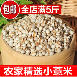 精选小薏米仁 薏米 农家自产薏仁米 苡米仁250g 沂蒙山区特产粗粮