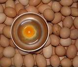 湖北恩施巴东三峡土特产土鸡蛋30个起售60个包邮农副产品