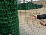 荷兰网鸡网菜园护栏围栏围挡铁丝网